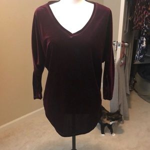 Velvet quarter length sleeve v-neck top